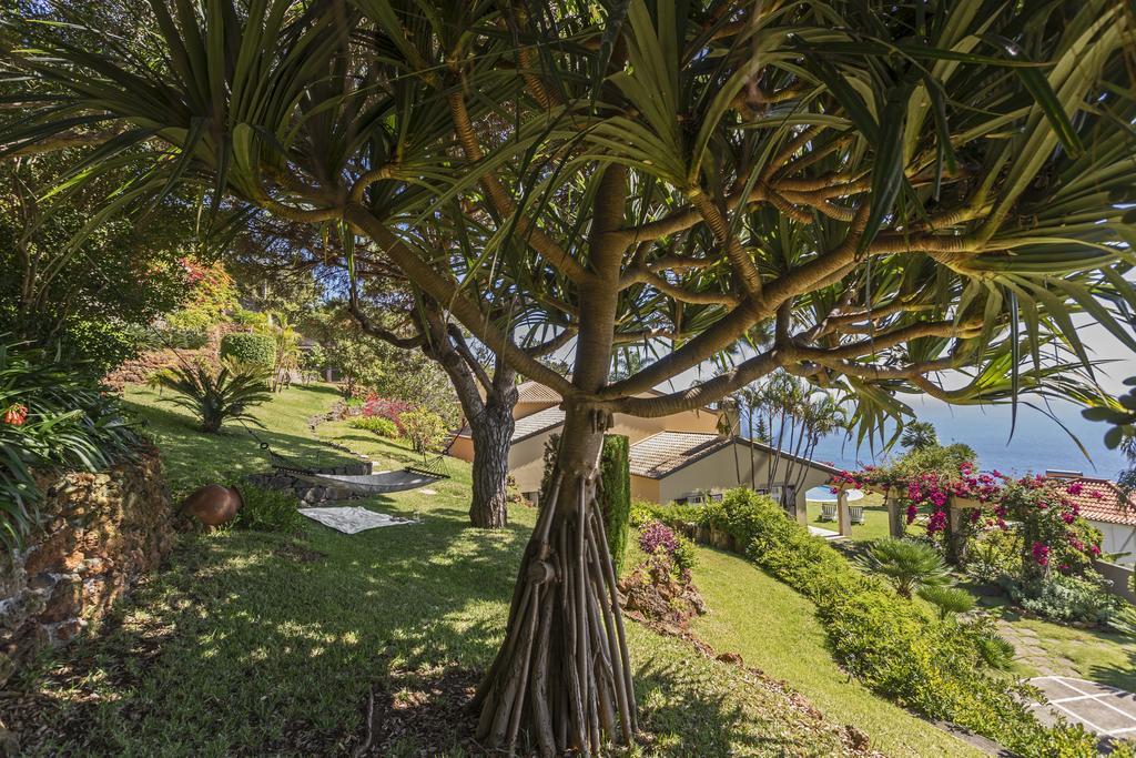 Vila Eucalipto By An Island Apart フンシャル エクステリア 写真